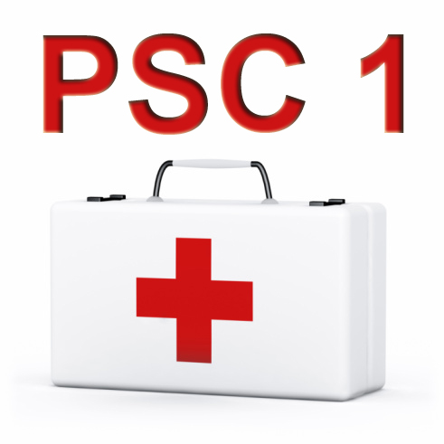 Psc1 1
